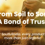 Best guide to shopping for organic ingredients