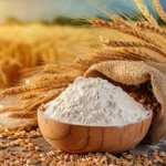 Khapli Atta Benefits Uses and Why
