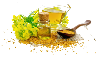 footerimg1 footerimg1