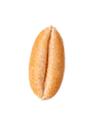 wheatleft1png