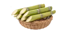 Sugercane Basket