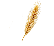 wheatleft