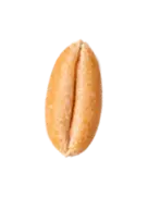 wheatleft1png